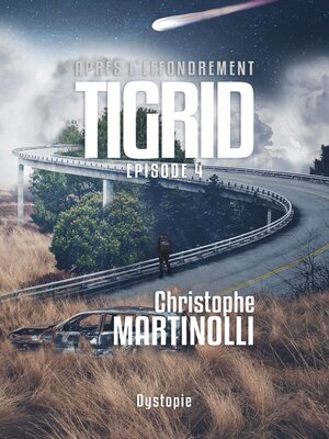 cover image of Tigrid 4